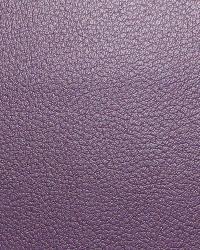 Valor Aubergine