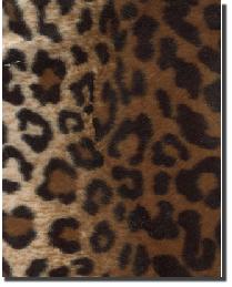Soft Fur Leopard Brown 