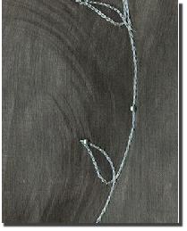 Embroidered Silk