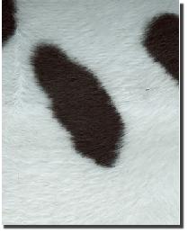 Black Calf Faux Fur