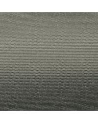 bamboo Whitewash