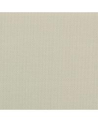 Tweed Buckeye