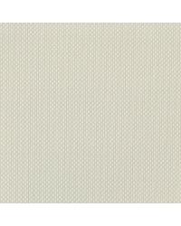 bamboo Whitewash