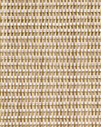 Cane Golden straw