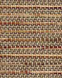 Tweed Buckeye