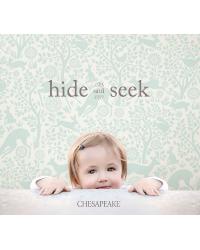Hide and Seek Wallpaper