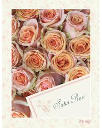 Satin Rose Wallpaper