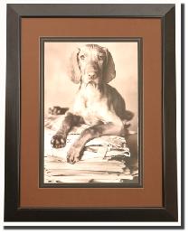 animal art, dog art, animal painting