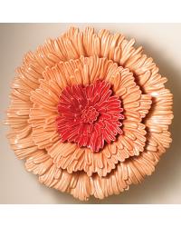 Wall Flower Begonia