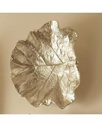 Sea Grape Leaf