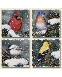 coasters,coaster set,coaster sets,stone coaster set,cutting board,bamboo cutting board,bamboo cutting boards,tempered glass cutting board,kitchen accessories,christmas,christmas accessories,christmas d�cor Backyard Birds Square Coaster Set