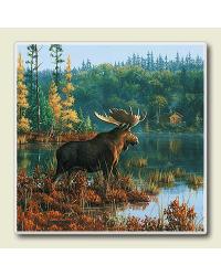 Black Bay Moose Coaster Set