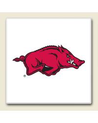 Arkansas Razorbacks Coaster Set