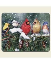 coasters,coaster set,coaster sets,stone coaster set,cutting board,bamboo cutting board,bamboo cutting boards,tempered glass cutting board,kitchen accessories,christmas,christmas accessories,christmas d�cor Backyard Birds Small Cutting Board