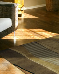 Area Rugs - Discount Area Rugs - Contemporary Area Rugs - Oriental  Rugs - Persian Rugs - Rug Pads - Chair Mats - Bamboo Rugs