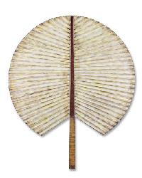 Fan Palm Leaf