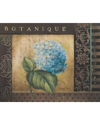 Botanique I by  Gango Editions 
