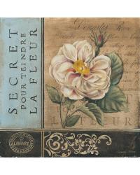 Le Jardin Secret I by  Gango Editions 