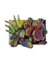Iris Blue, Green, Yellow, White, Pink, Violet, Silver