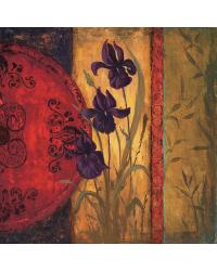 Iris Fusion II by  Gango Editions 
