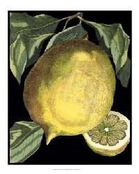 Food and Kitchen Art