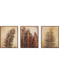3943 Ferns I/II/III