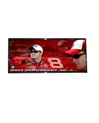 Dale Earnhardt Jr Framed Panoramic