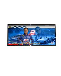Kurt Busch Framed Panoramic