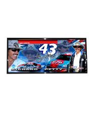 Richard Petty Framed Panoramic