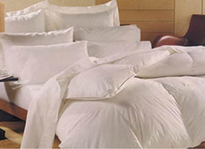  Santa Fe Comforter - White Goose Down