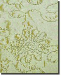 Delba Shale by  In Stock  