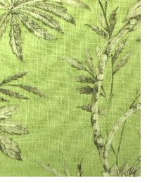 Intent Pistachio by  In Stock  