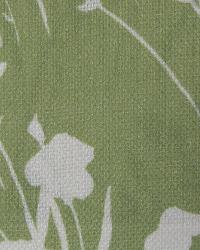Synergy Grass by  In Stock  