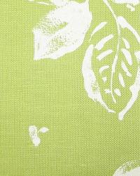 Fieldstone Parrot by  In Stock  