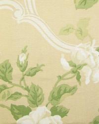 Lavista Almond by  In Stock  