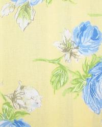Porterdale Cornflower by  In Stock  