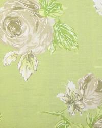 Porterdale Green Tea by  In Stock  