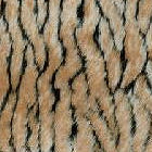 Faux Fur - Animal Print Fabric - Fake Fur