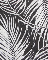 Palms Chocolate Thunda Instock Fabrics
