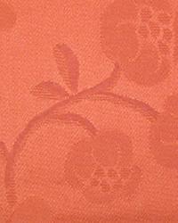 Cotton Jacquard