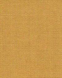 Sunbeam Chintz Pony Fabric