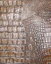 Animal Skin Collection Animal Skin Collection