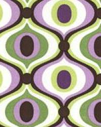 Feeling Groovy Orchid Michael Miller 2009 Feeling Groovy Orchid Michael Miller 2009
