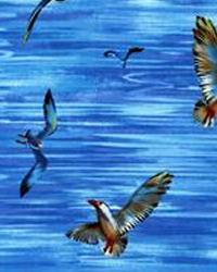 Seagulls Blue by  Alexander Henry 