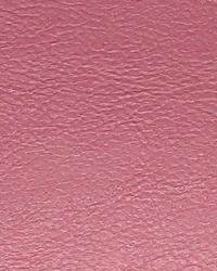 Aqua Burgundy Marine Vinyl