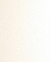 Aqua Ivory Marine Vinyl