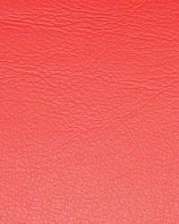 Aqua Red Marine Vinyl