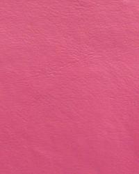 Plastex International Inc Galaxy  Hot Pink