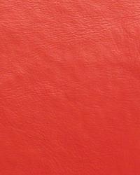 Galaxy Red  by  Rockland Industries 