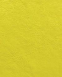 Galaxy Yellow Budget Vinyl Galaxy Yellow Budget Vinyl